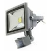 Faro A Led 10 W Luce Bianca Fredda Con Sensore Di Movimento Crepuscolare IP65