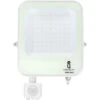 FARO LED 50 WATT W FARETTO CON SENSORE CREPUSCOLARE FREDDO ESTERNO 50W