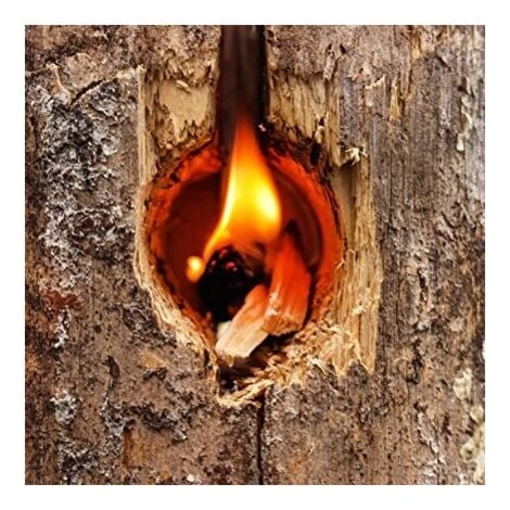 Candela Siberiana Tronco In Legno Con Foro. 2 Candela Siberiana Tronco In Legno Con Foro. - immagine 2