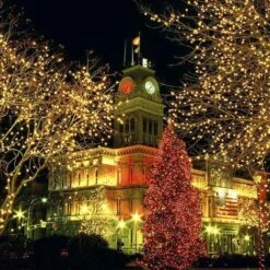 100M 600 LED String Lights Carnevale Matrimonio Illuminazione Da Giardino Per Interni All'aperto 7 100M 600 LED String Lights Carnevale Matrimonio Illuminazione Da Giardino Per Interni All'aperto -Vendite VIDAXL || LEDVANCE || STEINEL 33851817 3