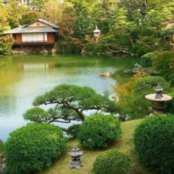 Lanterne Japonaise Exterieure Jardin, Solaire Exterieure Décoratifs Jardin Zen Statue Lanterne Pagode, Créatif Cadeau Vintage Artisanat, Solaire Lumières Lampada Decorativa, 17 34 Cm -Vendite VIDAXL || LEDVANCE || STEINEL 35805814 3