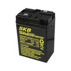 GBC® Gbc Batteria Piombo 6v/4,5a 38.6204.06 Ricambio Per Lampada Ricaricabile 38.8004.00