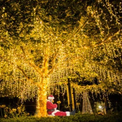 Catene Luminose Da Esterno Lampada Fata Catena Di Luci A LED Da Parete, 8 Modalitŕ Di Illuminazione, IP44, Decorazione Soggiorno, Bianco Caldo, 5m 200 LEDs HENGMEI -Vendite VIDAXL || LEDVANCE || STEINEL 88136300 3