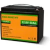 ECO-WORTHY Batteria Al Litio Ricaricabile 12V 50Ah LiFePO4 Con Ciclo Profondo 3000 Volte E Protezione BMS Per Camper, Barca, Solare, Eolico, Industriale E Sedia A Rotelle.
