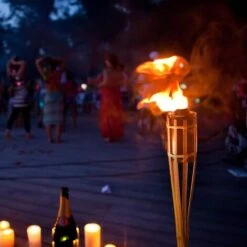 Stoppini Di Ricambio In Cotone Per Torcia In Bambù Olio Alla Citronella 10 Pezzi -11 Cm -Vendite VIDAXL || LEDVANCE || STEINEL 97840997 5